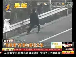 在线视频极速哥,极速哥带你领略在线视频的魅力