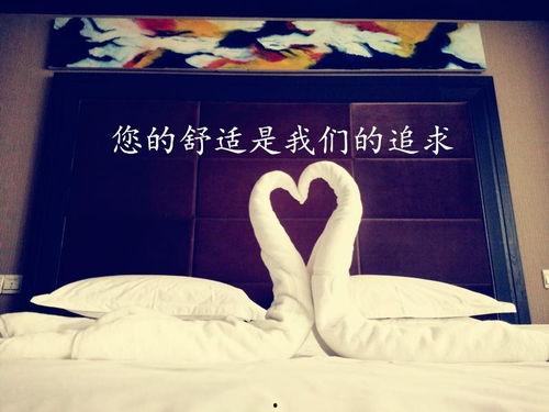 十三朵玫瑰在线视频,浪漫邂逅的甜蜜瞬间