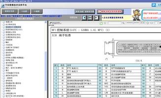 3577在线视频,揭秘神秘数字背后的故事