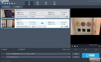 鸭王中文 在线视频播放