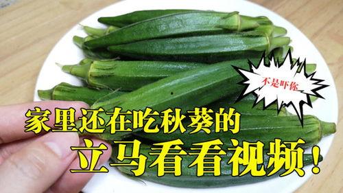 在线视频 秋葵,营养丰富的绿色珍宝，健康生活的必备食材
